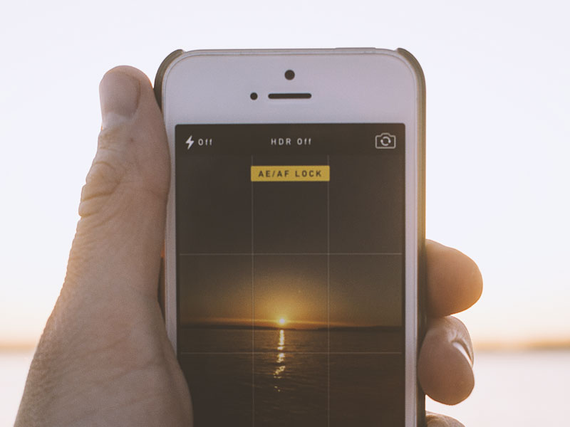 featured-gridded-sunset